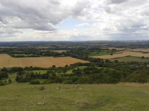 View from Coombe Hill
